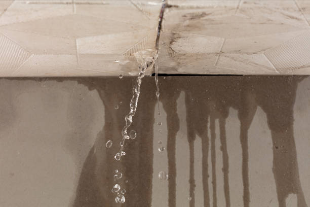 Professional Burst Pipe Cleanup technician working in Bear Creek, FL
